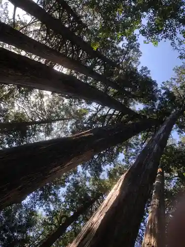 三峯神社の自然
