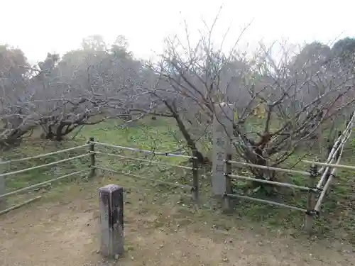 仁和寺(京都府)