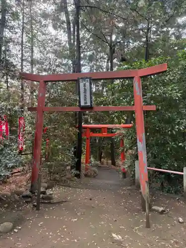 開運招福 飯玉神社(群馬県)