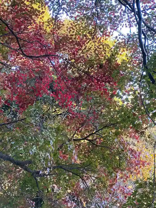 普門寺(切り絵御朱印発祥の寺)(愛知県)