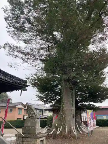 八枝神社(埼玉県)