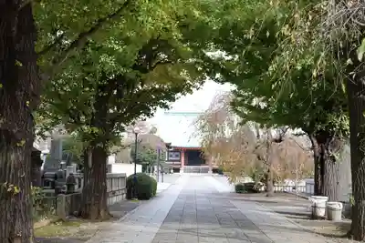 吉祥寺(東京都)