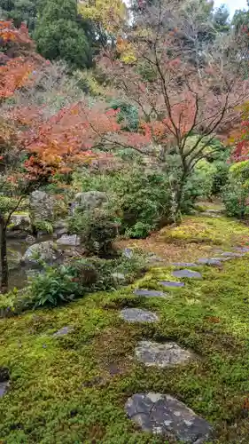 実相院門跡(京都府)