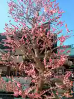 大阪天満宮(大阪府)