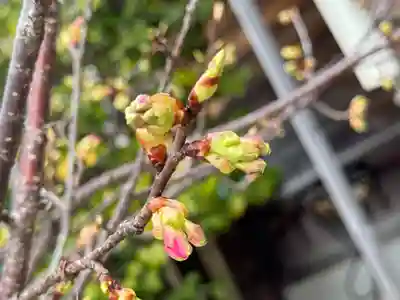 観音神社(広島県)