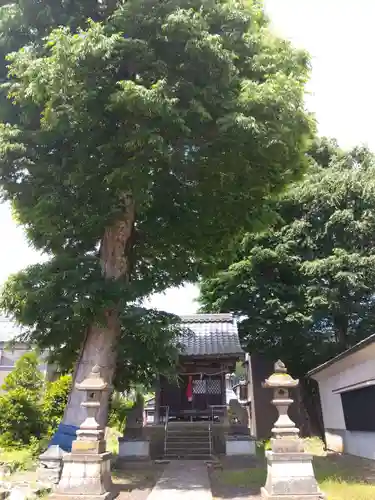 白山神社(福井県)