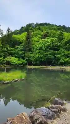 永保寺の{uncategorized: "未分類", other: "その他", undefined: "問題あり", building: "その他建物", grave: "お墓", sacred_gate: "鳥居", guardian: "狛犬", statue: "像", buddha: "仏像", history: "歴史", nature: "自然", garden: "庭園", animal: "動物", pagoda: "塔", temizu: "手水舎", mountain_gate: "山門・神門", sanctuary: "本殿・本堂", subordinate: "末社・摂社", art: "芸術", scenery: "景色", jizo: "地蔵", ema: "絵馬", goshuin: "御朱印", omikuji: "おみくじ", items: "授与品その他", amulet: "お守り", goshuincho: "御朱印帳", eats: "食事", festival: "お祭り", votive_dance: "神楽", shichigosan: "七五三参", wedding: "結婚式", experience: "体験その他", initially: "初詣", around: "周辺", anti_infection: "感染症対策"}