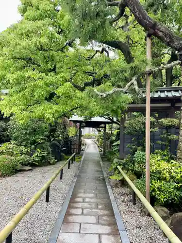 本蓮寺の庭園