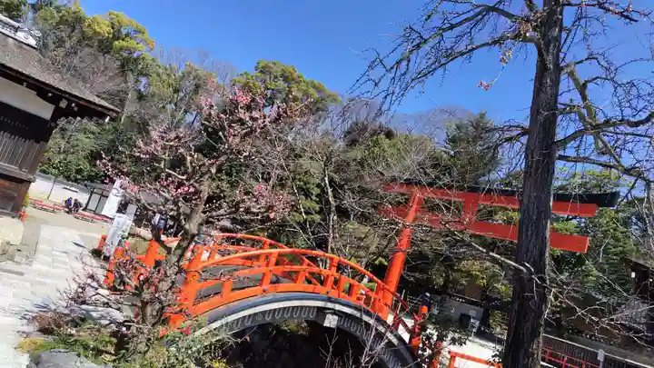 賀茂御祖神社(下鴨神社)(京都府)