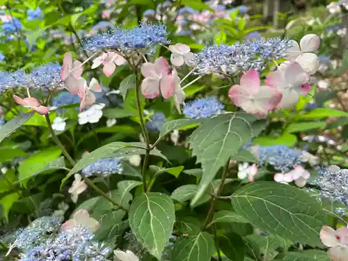 赤城神社(群馬県)