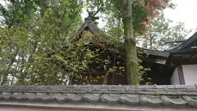正ノ木稲荷 稲積神社の本殿・本堂