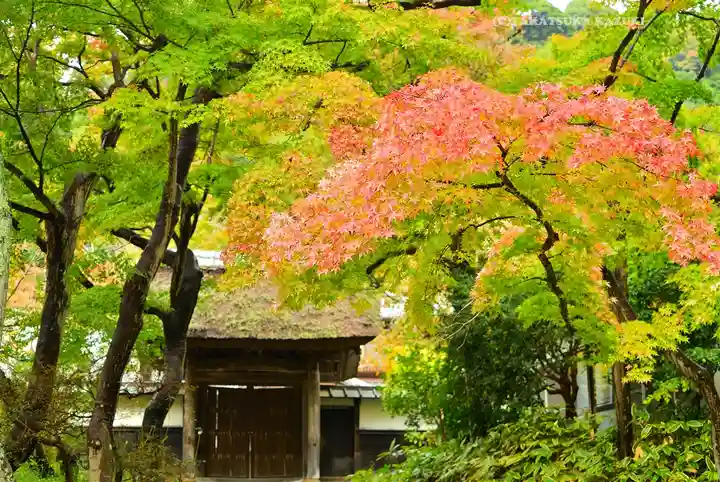 円覚寺(神奈川県)