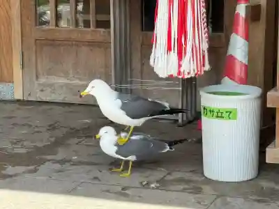 蕪嶋神社(青森県)
