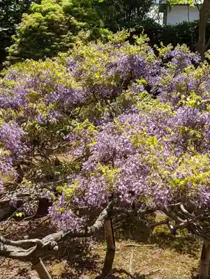 長慶院(京都府)
