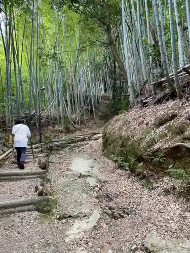 自玉手祭来酒解神社の周辺