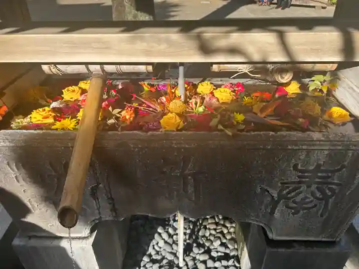 鳩森八幡神社(東京都)