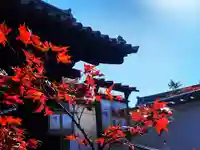 光明院(光明禅院)(京都府)