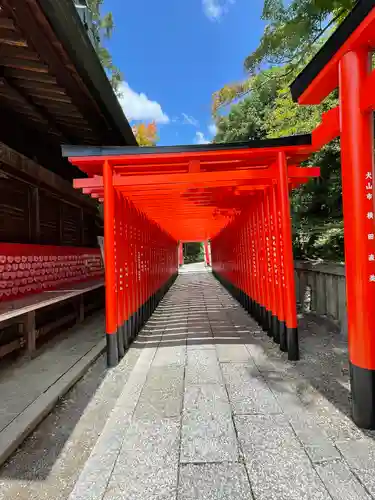 三光稲荷神社の鳥居