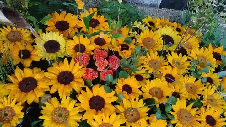 北野天満宮の手水舎