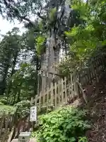 玉置神社(奈良県)