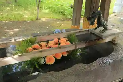 彌彦神社　(伊夜日子神社)の手水舎