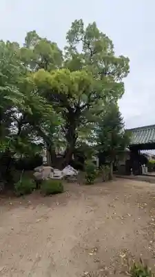 光瀬寺(京都府)