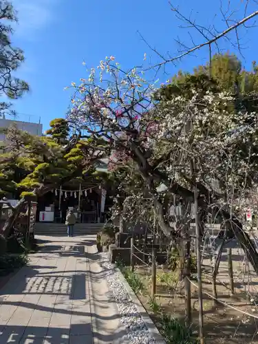 鳩森八幡神社(東京都)