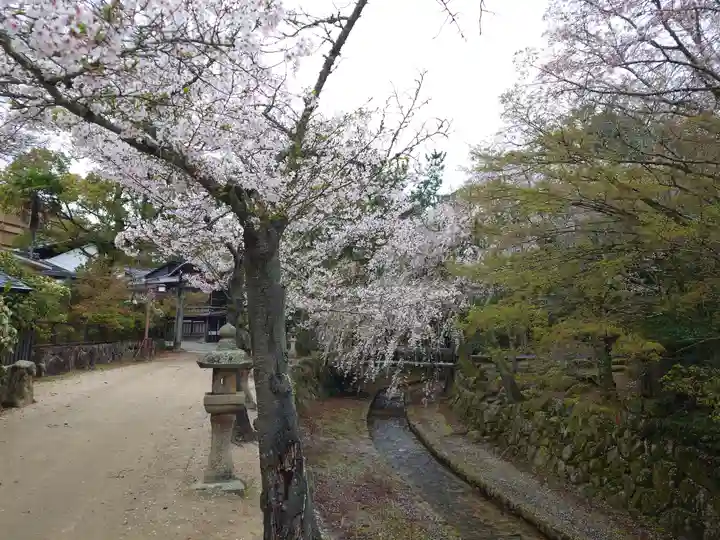 厳島神社(広島県)