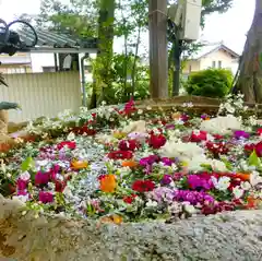 立志神社の手水