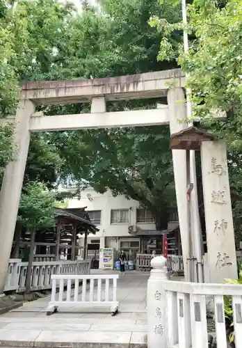 鳥越神社の鳥居