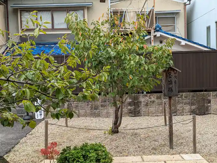 墨染寺(桜寺)(京都府)