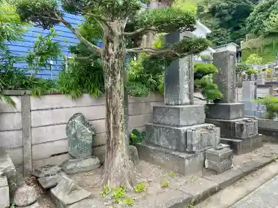 大運寺(神奈川県)