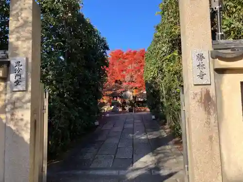 勝林寺(京都府)