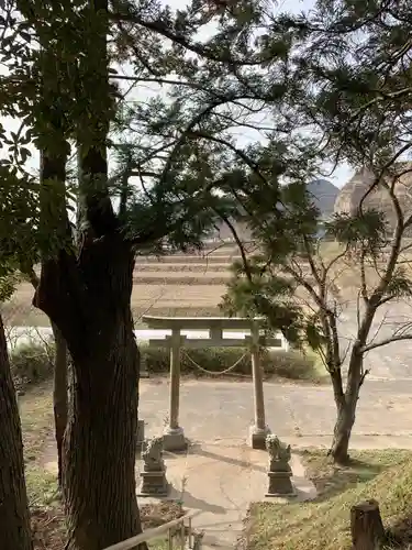 諏訪八坂両神社の鳥居