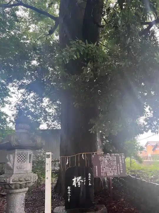杉生神社(岐阜県)