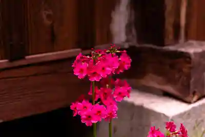 戸隠神社宝光社(長野県)