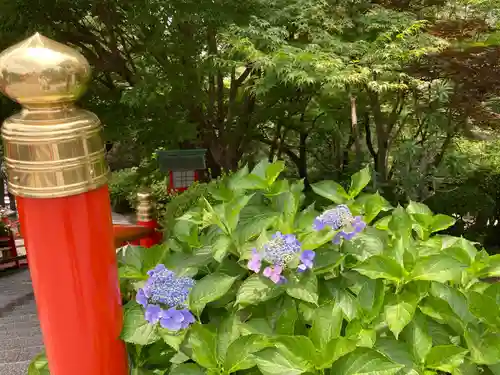 足利織姫神社(栃木県)