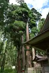 高倉神社(福島県)