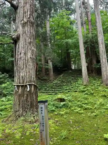 平泉寺白山神社(福井県)