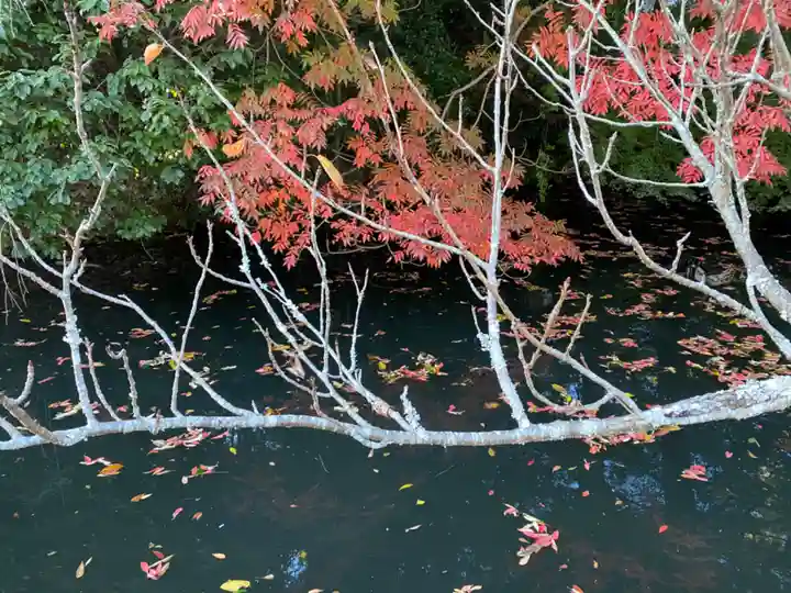 吉備津神社の自然
