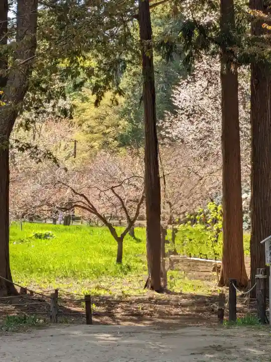 北海道神宮の庭園