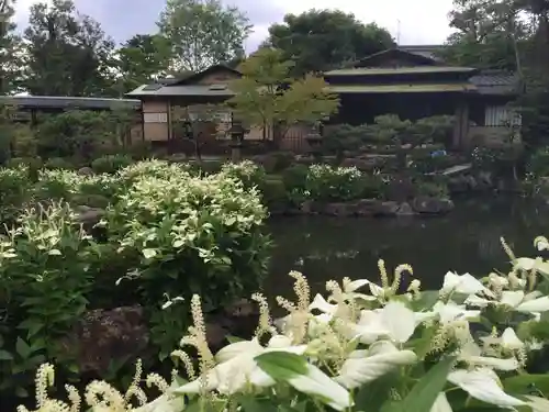 両足院の庭園