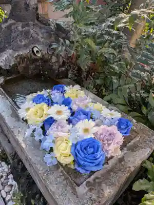 本郷氷川神社(東京都)