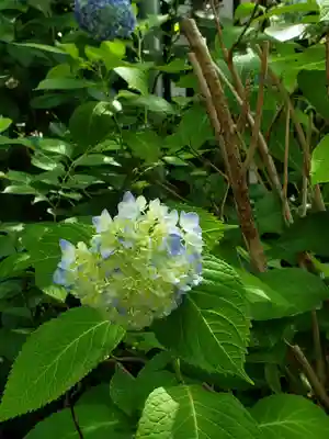 青山熊野神社(東京都)