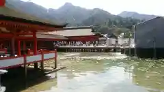 厳島神社の本殿