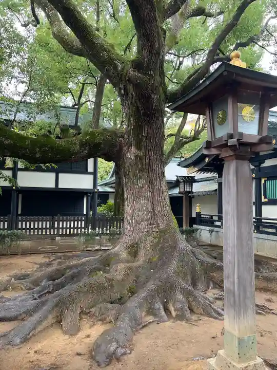 穴八幡宮(東京都)