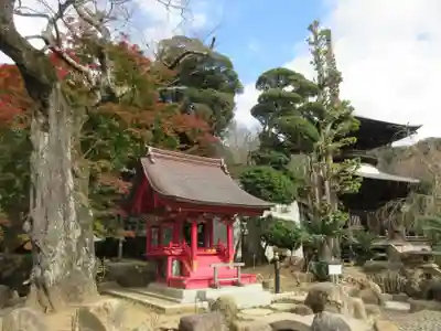 楽法寺(雨引観音)の本殿・本堂