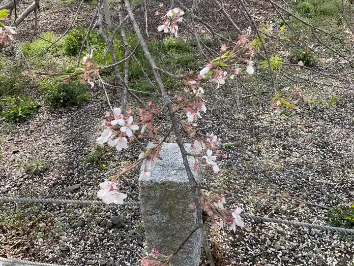 歓喜寺(茨城県)