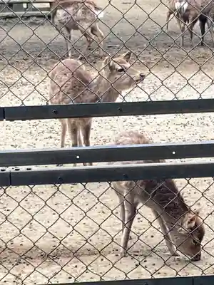 鹿島神宮(茨城県)