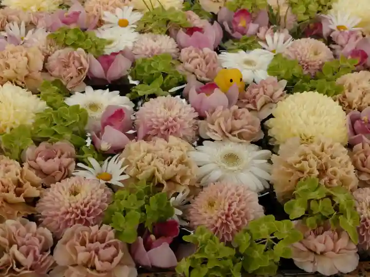 金峯神社の{uncategorized: "未分類", other: "その他", undefined: "問題あり", building: "その他建物", grave: "お墓", sacred_gate: "鳥居", guardian: "狛犬", statue: "像", buddha: "仏像", history: "歴史", nature: "自然", garden: "庭園", animal: "動物", pagoda: "塔", temizu: "手水舎", mountain_gate: "山門・神門", sanctuary: "本殿・本堂", subordinate: "末社・摂社", art: "芸術", scenery: "景色", jizo: "地蔵", ema: "絵馬", goshuin: "御朱印", omikuji: "おみくじ", items: "授与品その他", amulet: "お守り", goshuincho: "御朱印帳", eats: "食事", festival: "お祭り", votive_dance: "神楽", shichigosan: "七五三参", wedding: "結婚式", experience: "体験その他", initially: "初詣", around: "周辺", anti_infection: "感染症対策"}